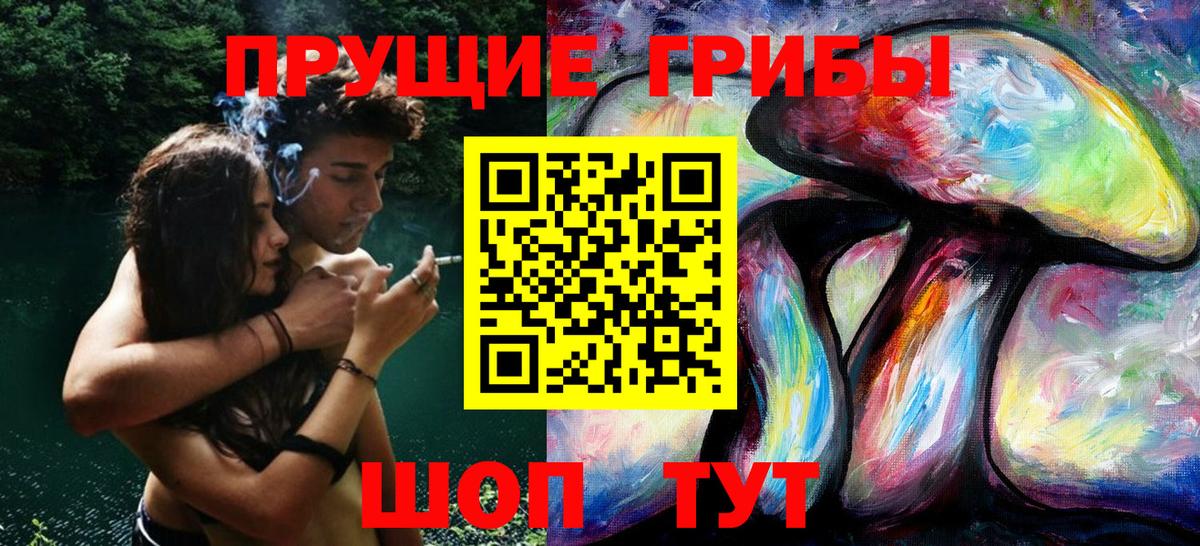 Тулун  Псилоцибиновые грибы мухоморы  Вход с VPN 
