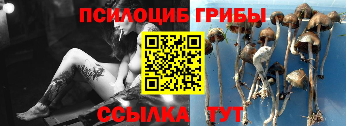 Галлюциногенные грибы ЛСД Тулун